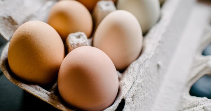 240817-eggs-ch-1221-812127.jpg