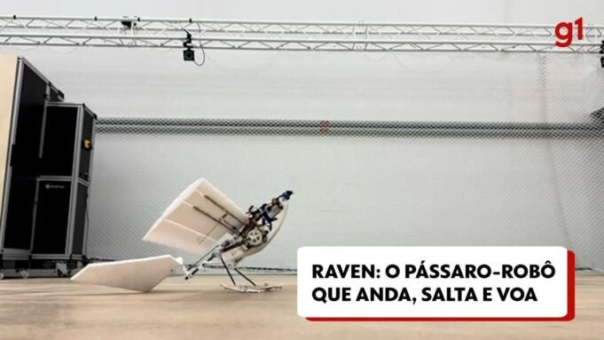 13150733.jpg