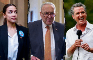 Um Partido Democrata em Interrupção faz para a estranha flor