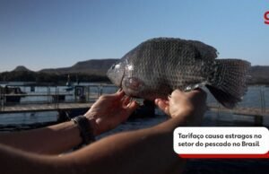 As perdas na tarifa de Trump ameaçaram uma rede de 32.000 pescadores de artesãos: ‘eles estão assustados’