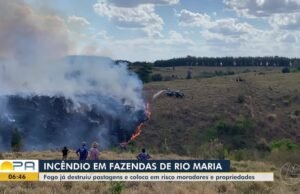 O incêndio nas fazendas já destruiu a zona de 8 km no sul