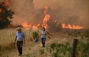 Espanha PM promete ‘Pacto Climático’ na visita à região de fogo de fogo