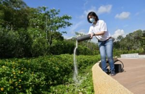 Os lugares onde a dor nos ensina sobre quem somos