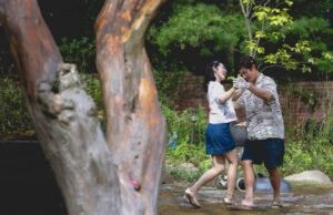 Park está em revisão do novo filme de Chan-wook