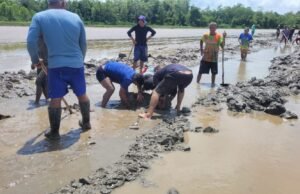 MPF pergunta ao arquiplicado de Belik, a prova do rosto da APAP APPE