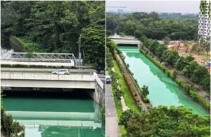 Nea investigando após a água em Yishun Close Canal fica verde