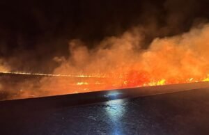 O incêndio atingiu a zona equivalente de 13 campos de futebol dentro de SP