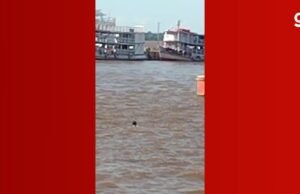 O vídeo mostra o último momento dos jovens antes de desaparecer no rio Amazonas