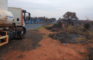 Fire Ibing, Borborema e Icanga alcançaram quatro hectares de campos de cana -de -açúcar