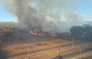 O incêndio atinge o norte -oeste, mata a pista no Berl Marx Park, no DF; Assista ao vídeo