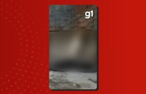 Vídeo: Maland Pitbull foi resgatado para comer outro cachorro morto em uma casa abandonada em homem