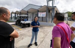 Cache de Porto Rico na cama Bunned como milhares de bandos da ilha para seus shows