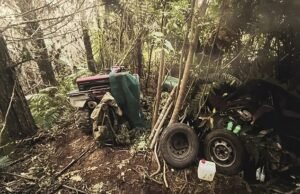 Novas fotos chocantes mostram o acampamento de Bush, onde os filhos de Tom Philips foram encontrados se escondendo: ‘Em contato com as coisas que as crianças em nosso país não deveriam ser’ ‘