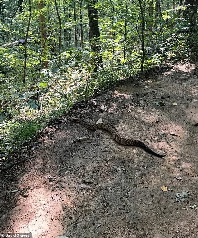 101995095-15083111-David_Graves_an_Alabama_man_hiking_through_the_scenic_trails_of_-a-8_1757479032180.jpg