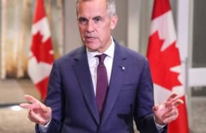 Os pólos PMO internos mostram forte suporte para projetos hidreliosos, rodoviários, portuários – nacional