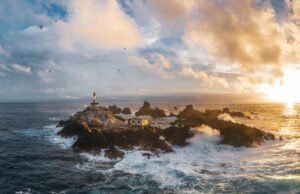 Ilhas brasileiras centradas em espécies que não existem em nenhum outro lugar do mundo