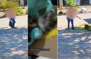 O veterano pintou o gato no saco de lixo que o animal estava dando aquele animal