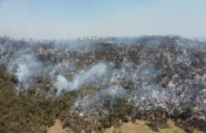 Após o incêndio controlado, Serra Doe Monti Bronco tem o surto de novo incêndio em Pirakikaba