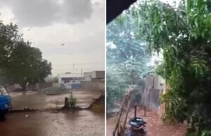 Assista a vídeos em várias cidades