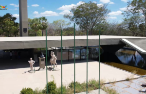 Pai e filho preservam memórias em Piau