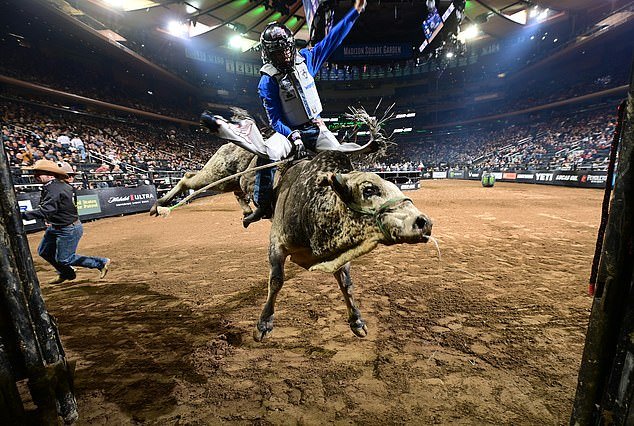 102426127-15130829-The_mad_world_of_Professional_Bull_Riding_has_the_riders_and_ani-a-2_1759317043458.jpg