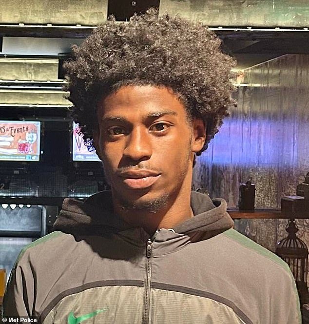 103310675-15226839-Rinneau_Perrineau_pictured_died_after_being_stabbed_on_Lavender_-m-18_1761410692451.jpg
