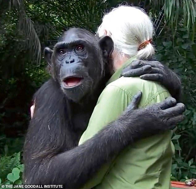 83698595-15155041-It_was_a_hug_worthy_only_of_the_woman_who_redefined_man_For_Jane-m-2_1759399688025.jpg