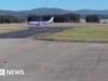 O urso interrompe o voo e caminha até a pista do aeroporto