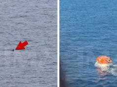 Passageiro do cruzeiro Carnival saiu da costa mexicana