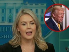 Carolyn Levitt diz que o presidente Trump estava sendo honesto ao chamar o repórter de porquinho