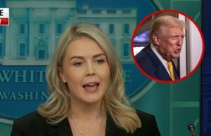 Carolyn Levitt diz que o presidente Trump estava sendo honesto ao chamar o repórter de porquinho