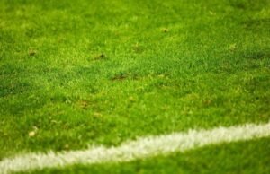 Queen’s Park x Ross County adiado pouco antes do início do jogo