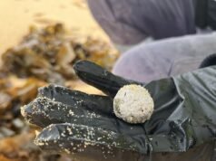 A fonte das bolas misteriosas que chegam às costas australianas foi revelada, deixando os banhistas perplexos