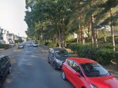 Imigrante egípcio de 24 anos acusado de estuprar mulher de 30 anos na floresta de Bournemouth