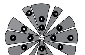 Os sutiãs podem realmente detectar o câncer de mama? Dispositivo ‘inteligente’ desenvolvido por cientistas britânicos pode detectar doenças em grupo específico de mulheres