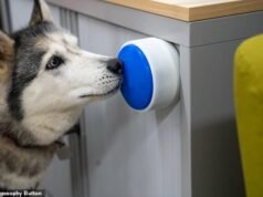 Agora seu cachorro pode fazer uma xícara de chá para você! Cientistas desenvolveram um botão que permitirá ao seu animal ligar a chaleira