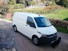 O motorista da Amazon atropela Molly, pastor alemão de 12 anos da família, deixando-os com uma conta de veterinário de £ 1.200 – então a empresa oferece uma cama de cachorro de £ 25 como compensação