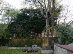 Lelandi, de 32 pés de altura, de James Corden, irritou os vizinhos de sua mansão de £ 11,5 milhões no norte de Londres – sua terceira disputa com residentes em oito meses