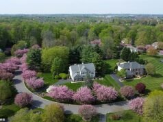 Fúria quando a nova lei de ‘manutenção’ impõe multa de US$ 200 aos proprietários por práticas rotineiras de manutenção de quintais