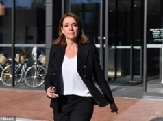 A estrela do Channel Nine, Kelly Sloane, torna-se a próxima líder liberal de NSW