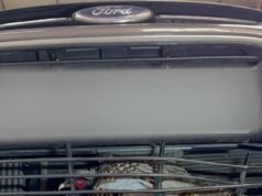 Depenador de faisão: pássaro selvagem resgatado vivo e seguro 24 horas após bater na grade do radiador do carro