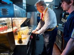 Quarenta e dois milhões de americanos perderiam os lucros lucrativos do McDonald’s sob o novo plano: ‘Chega de cisnes dourados’