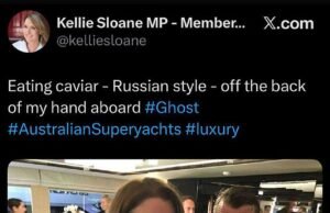 Novo líder liberal de NSW e ex-estrela do Channel Nine recebeu um apelido cruel após o ressurgimento de fotos arrogantes