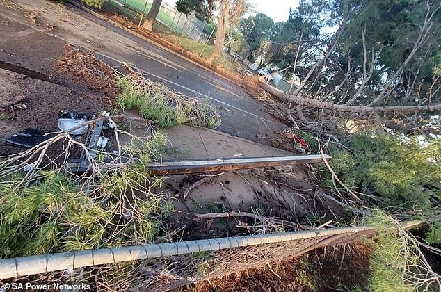 104128989-15319381-A_freak_storm_smashed_South_Australia_s_Port_Pirie_on_Saturday_w-a-22_1763957387518.jpg