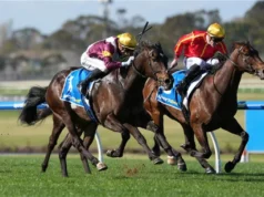 Temos tudo que você precisa para evaporação