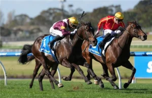 Temos tudo que você precisa para evaporação