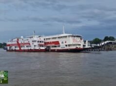 Vídeo: JL2 de sábado, 8 de novembro de 2025