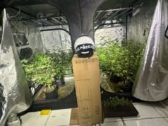 A polícia fechou o laboratório de maconha instalado no apartamento