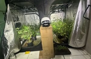 A polícia fechou o laboratório de maconha instalado no apartamento