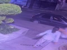 Babá leva tapas e chutes de advogado em BH; vídeo